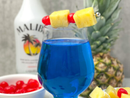 Ocean Breeze Cocktail - Single Serving or Pitcher! - Julie's Eats & Treats ®