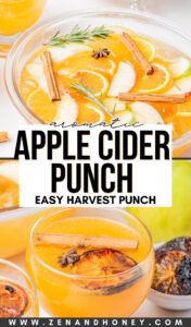 apple cider punch recipe