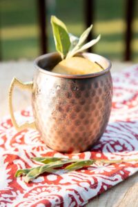 apple cider mule