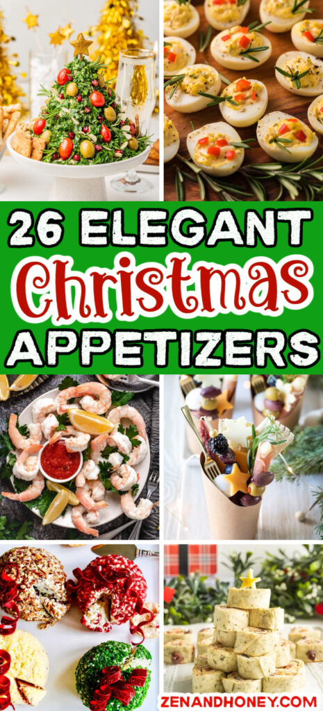 26 Elegant Christmas Appetizers - ZEN AND HONEY