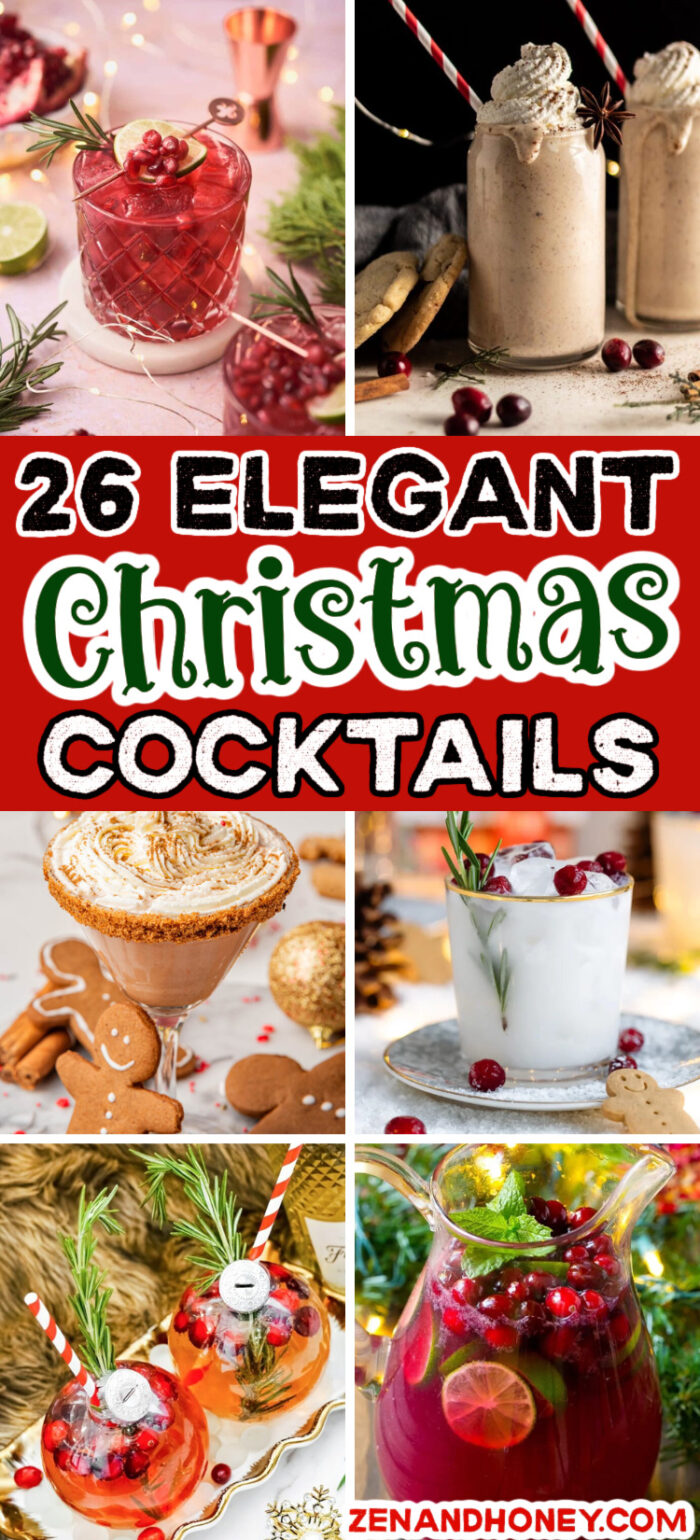 27 Festive & Easy Holiday Drinks - ZEN AND HONEY