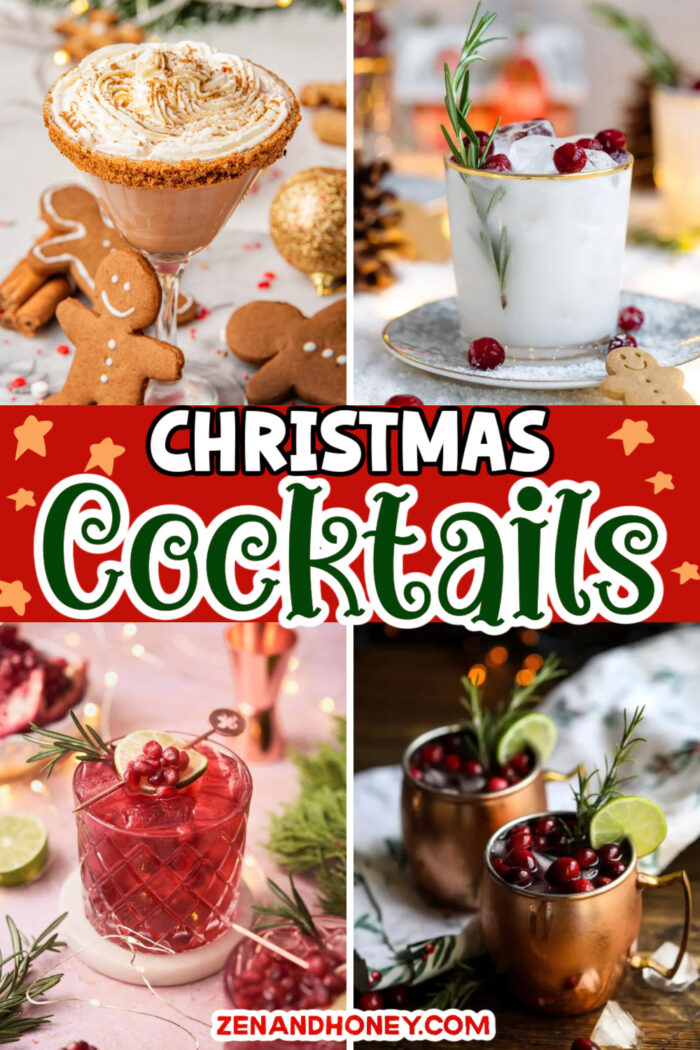 27 Festive & Easy Holiday Drinks - ZEN AND HONEY