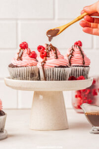 chocolate raspberry cupcakes recipe