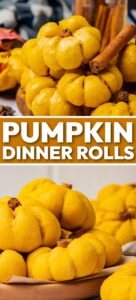 canned pumpkin dinner rolls
