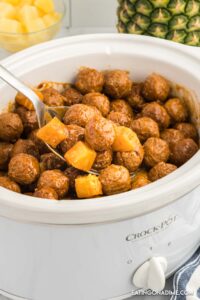 slow cooker appetizer recipes