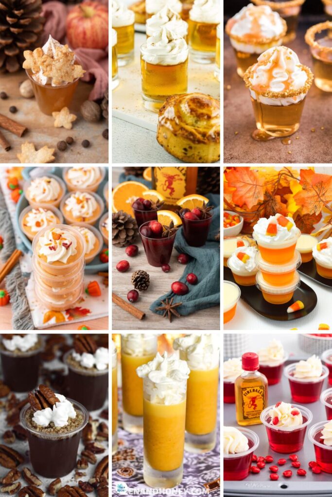 Important Fall Shots 21 Fall Jello Shots for The Crisp Days of Autumn - ZEN AND HONEY