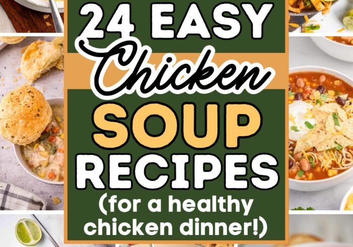 healthy chicken soup