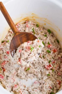 crockpot dip recipes