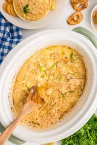 slow cooker dip