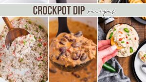 slow cooker dip recipes