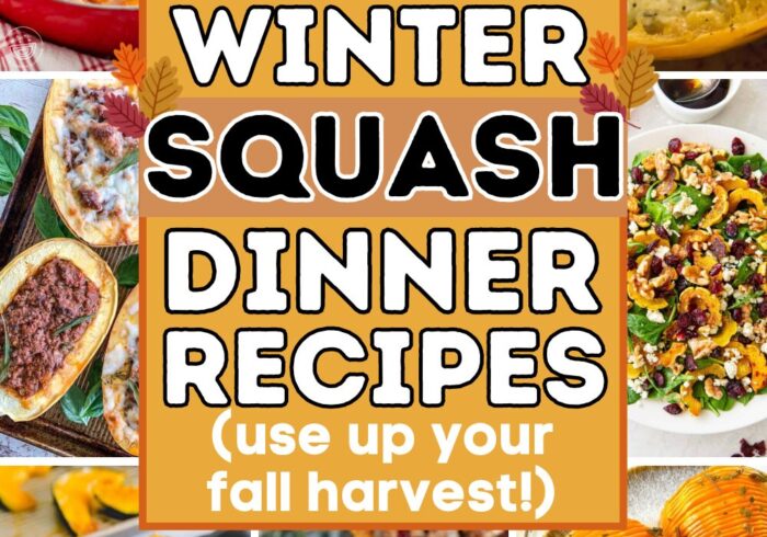 winter squash recipes