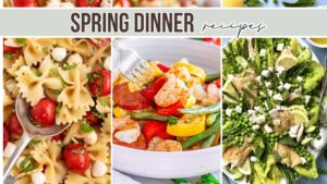 spring dinner recipes