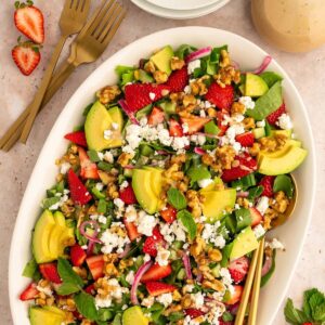 summer salad recipes