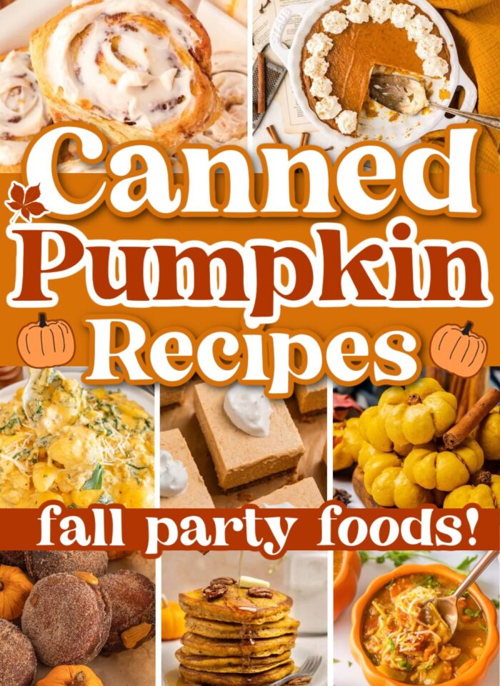 26 Best Canned Pumpkin Recipes To Try This Fall