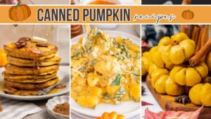canned pumpkin recipes