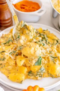 canned pumpkin recipes