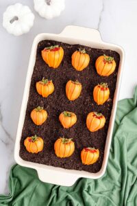 fall picnic food ideas