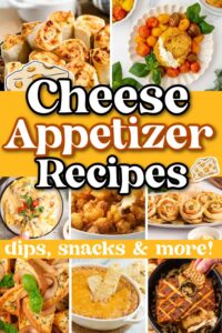 cheese appetizer ideas