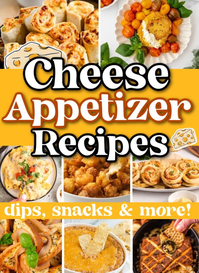 cheese appetizer ideas