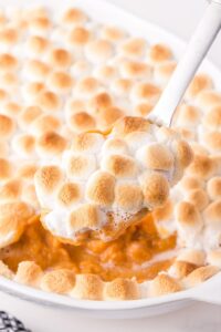 sweet potato recipes