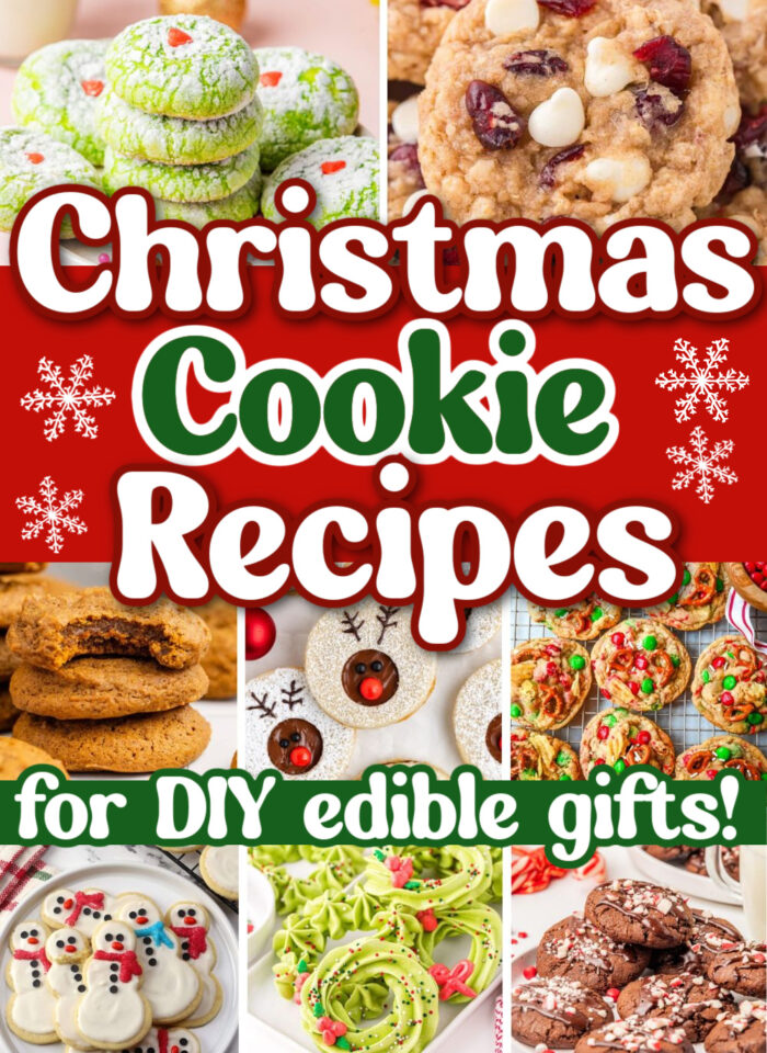 22 Easy Christmas Cookies To Make For Edible Gifts