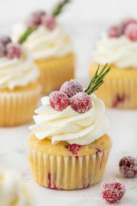 chocolate cranberry cupcakes