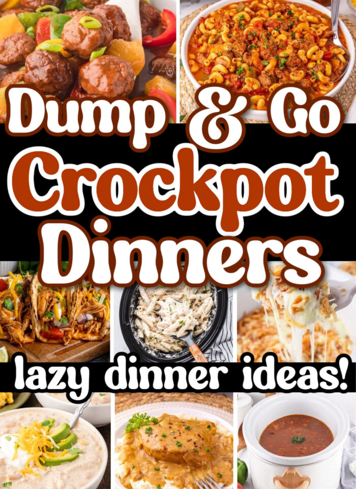 15 Try-Worthy Dump And Go Crockpot Meals for Lazy Dinners