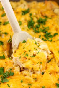 chicken casserole dishes