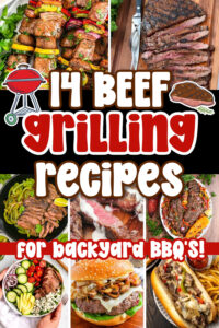BEEF GRILLING RECIPES