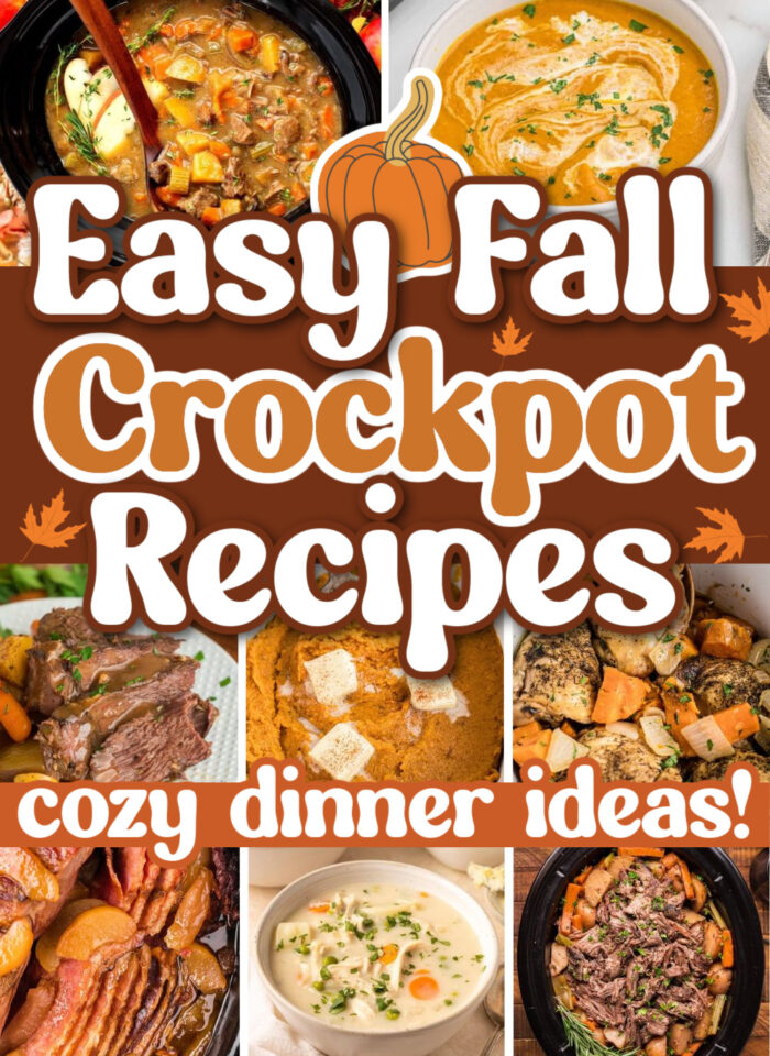 fall crockpot recipes