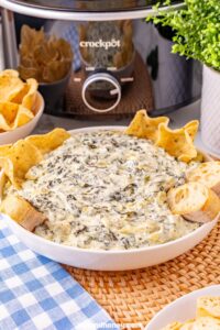 game day dip slow cooker