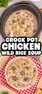 crock pot wild rice chicken soup recipe easy