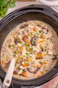 crock pot chicken and rice soup