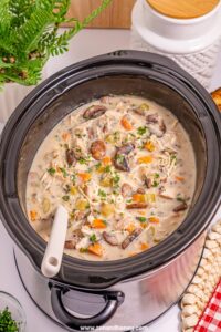 slow cooker chicken wild rice soup