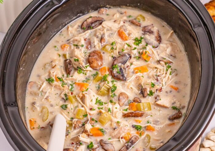 slow cooker chicken wild rice soup