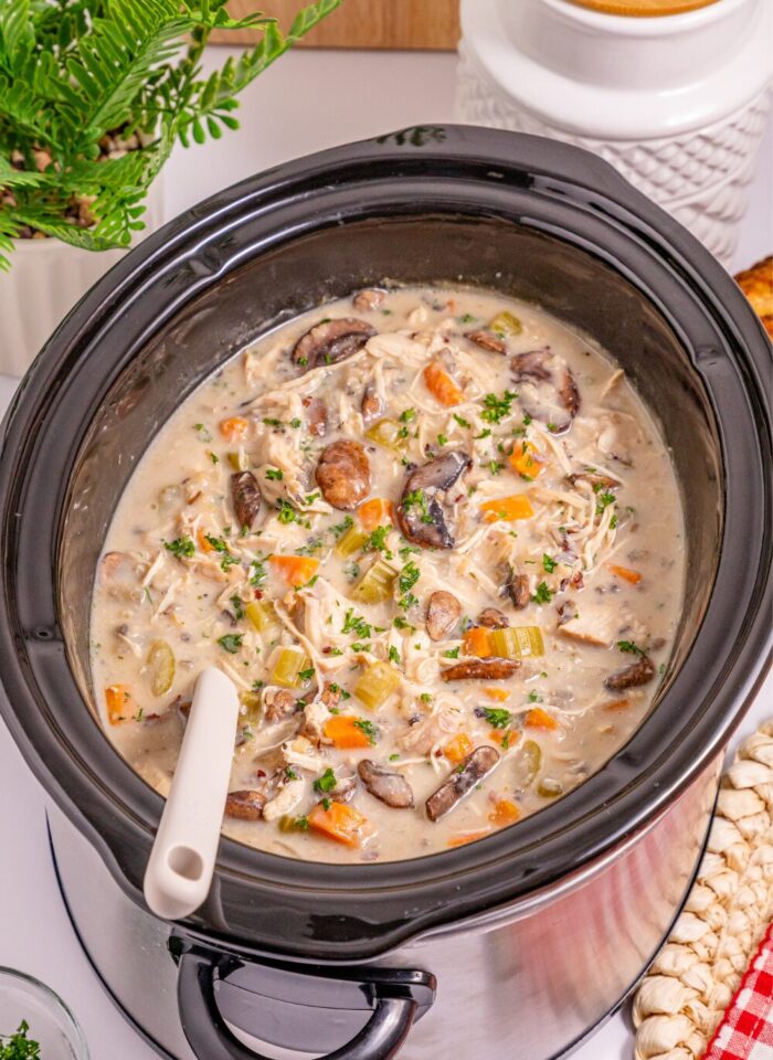 slow cooker chicken wild rice soup