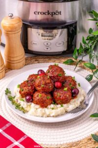 slow cooker thanksgiving recipes