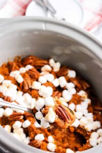 slow cooker thanksgiving recipes