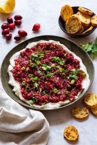 christmas themed dips