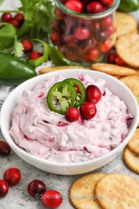 christmas themed dips